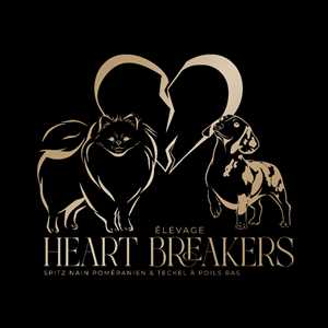 Elevage Heart Breakers, un éleveur d'animaux à Montargis