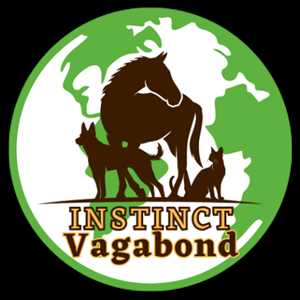 Instinct Vagabond, un professionnel de l'animalerie à Les Ulis