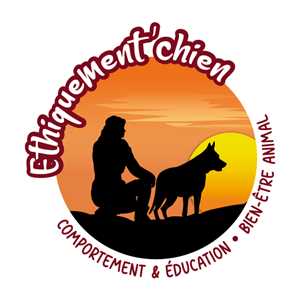 Ethiquement'chien, un éducateur canin à Sèvremoine