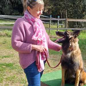 Candy, un garde d’animaux à Draguignan