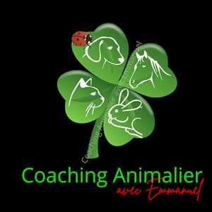 Coaching Animalier, un expert à Rouen