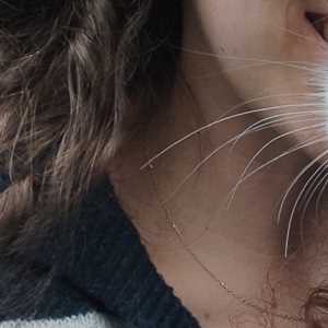 Maiwenn, un pet sitter à Bruz