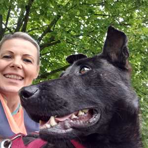 Armonimal , un dresseur de chiens à Le Moule