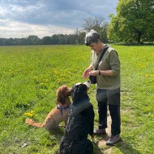 Andrea, un intervenant en médiation animale à Strasbourg