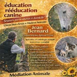 Ferre jean bernard, un zoothérapeute à Montceau-les-Mines