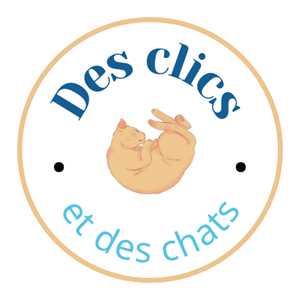 Des Clics et des Chats, un zoothérapeute à Saint-Lô