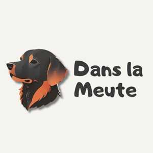 Dans la Meute, un pet-sitter à Saint-Gaudens