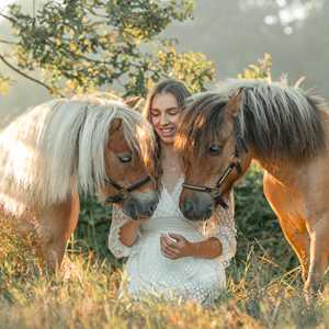 AB Comportementaliste, un praticien en thérapie animale à Sèvremoine