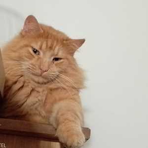 MICHAEL, un conseiller en animalerie à La Ciotat