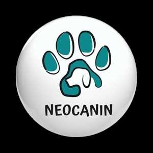 Neocanin, un dresseur de chiens à Le Moule