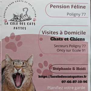 LA COLO DES CATS PATTES, un garde à Yerres