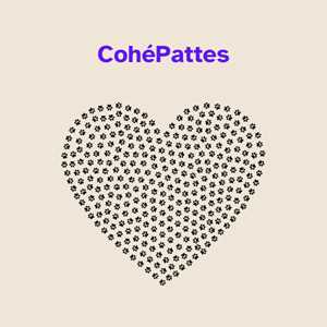 CohéPattes, un éducateur canin à Illzach