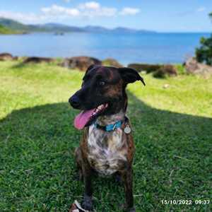 Marie GLEIZE, un médiateur animalier à Angers