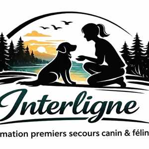 interligne, un formateur canin à Fleury-les-Aubrais