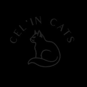 celine, un médiateur animalier à Versailles