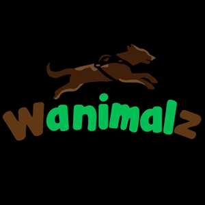 WANIMALZ, un expert en animalerie à Sartène
