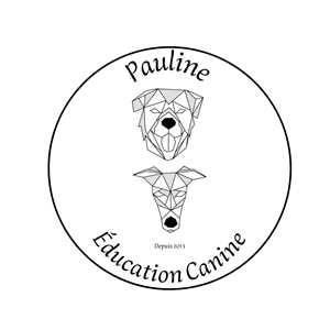 PaulinEducation Canine, un éducateur canin à Lamballe-Armor
