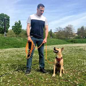 Accord Dog, un médiateur animalier à Epinal