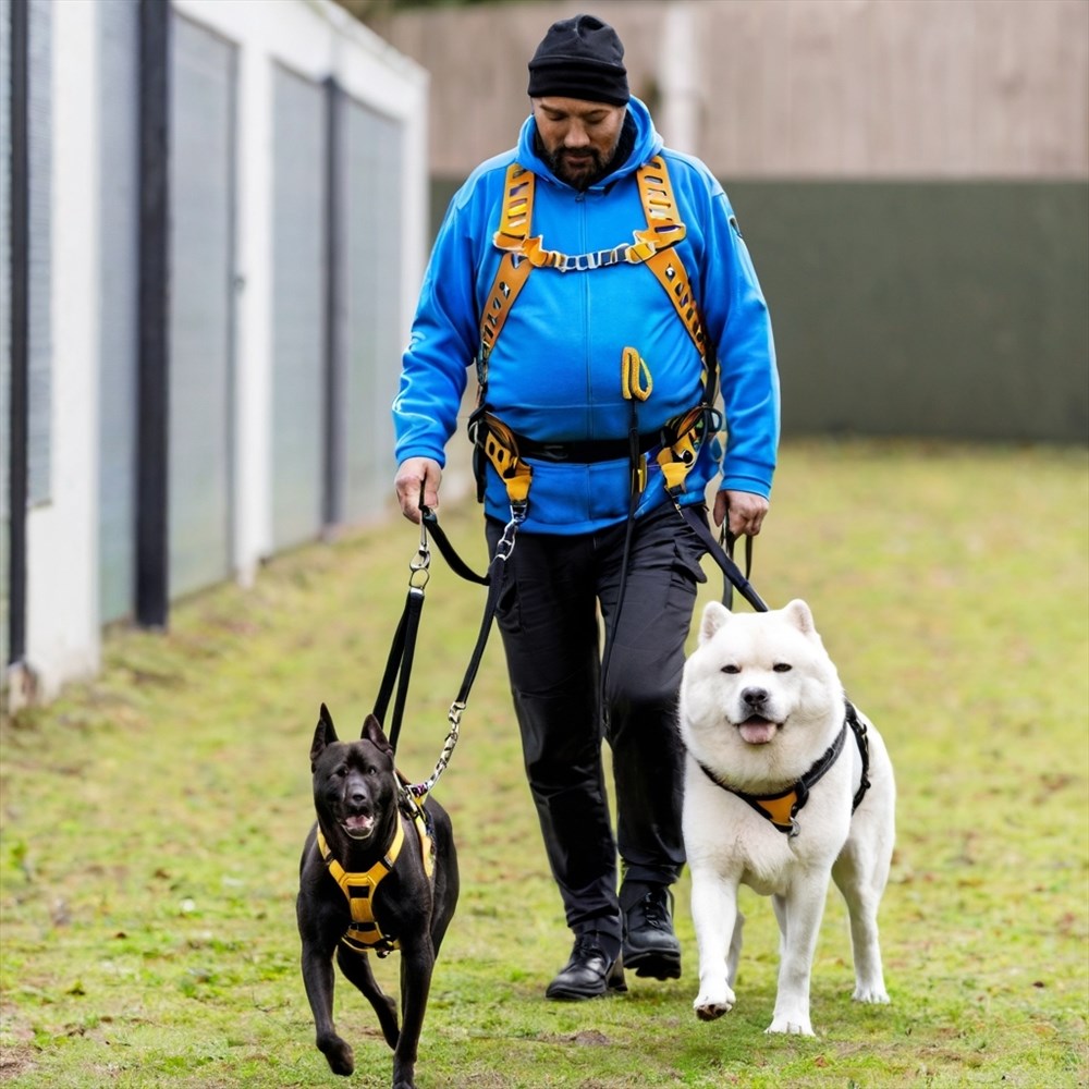 Les experts du monde animal se tournent vers l'achat en ligne : l'excellence Ferranti pour des équipements sur mesure