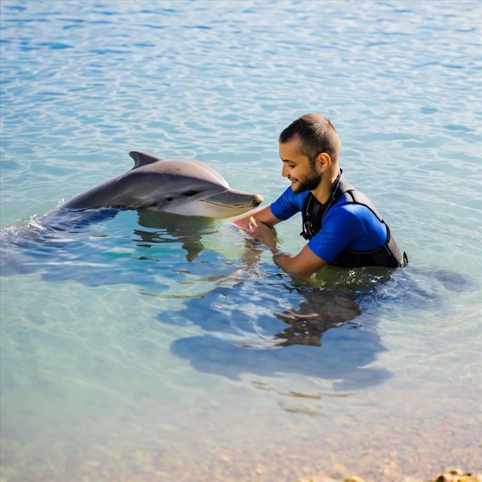 Devenir Dresseur de Dauphins : Guide Complet et Pratique
