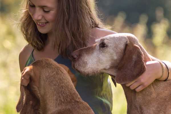 Annuaire des éducateurs canins à Fontainebleau