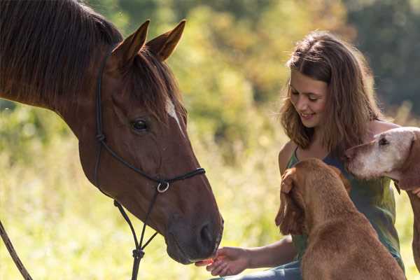 Le guide pour trouver un pet-sitter à Illzach